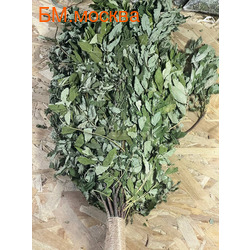 ����� ���������